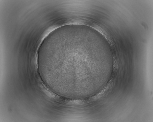 X0000111681078200907311215