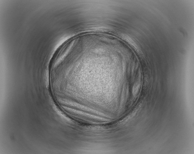 X0000111681079200907311215