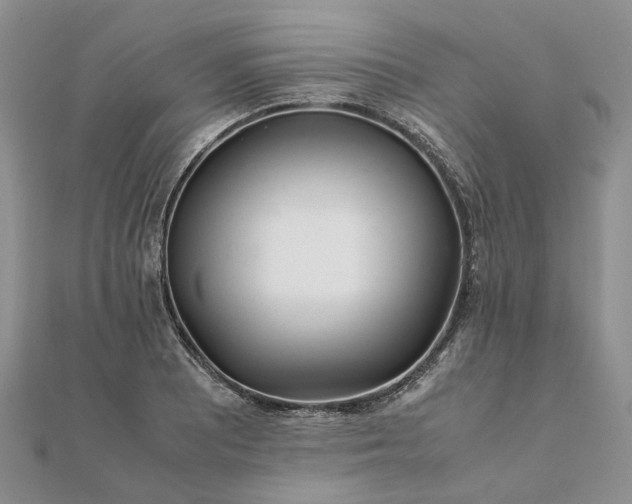 X0000111681081200907311215