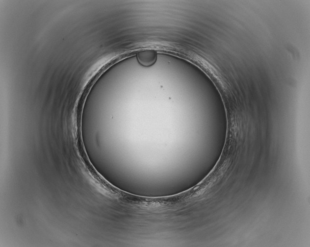 X0000111681082200907311215