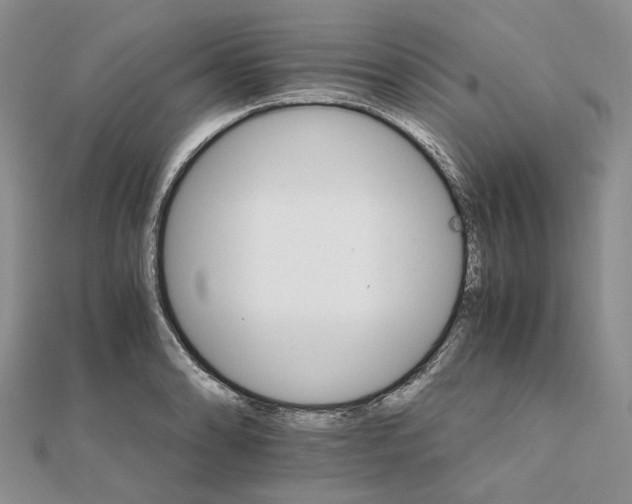 X0000111681086200907311214