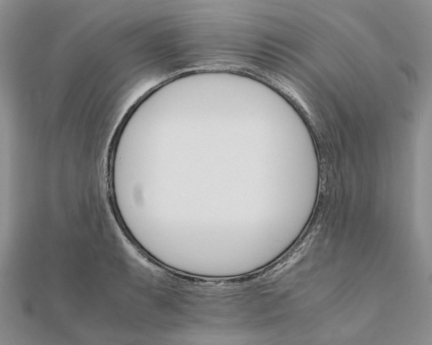 X0000111681087200907311214