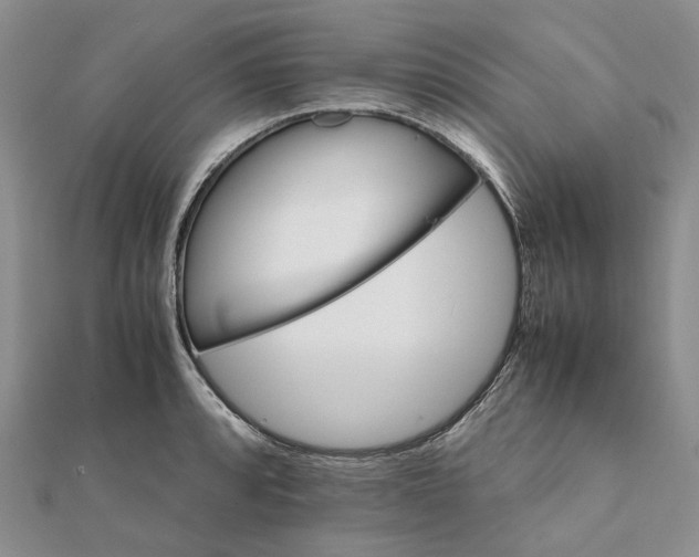 X0000111681088200907311214