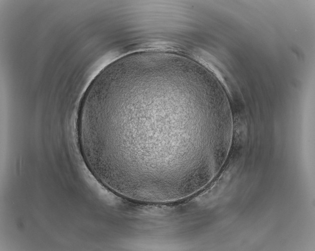 X0000111681091200907311214