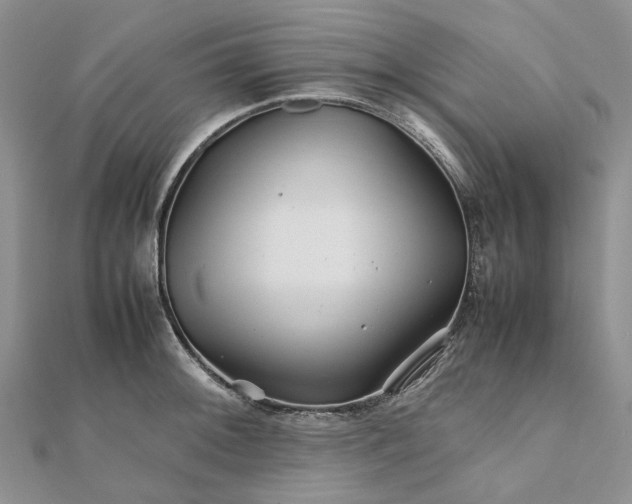 X0000111681092200907311214