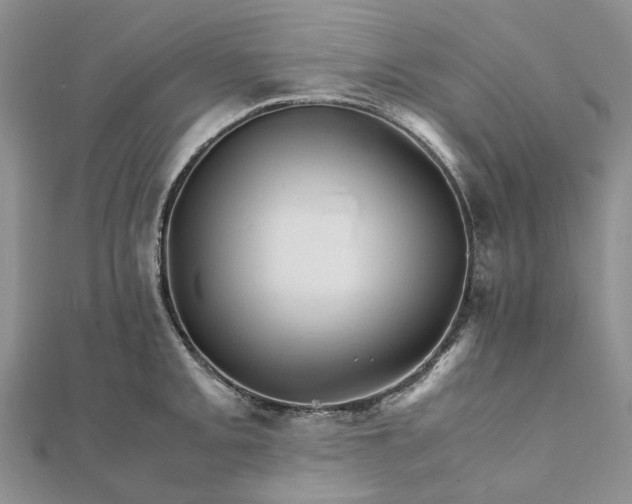 X0000111681093200907311214