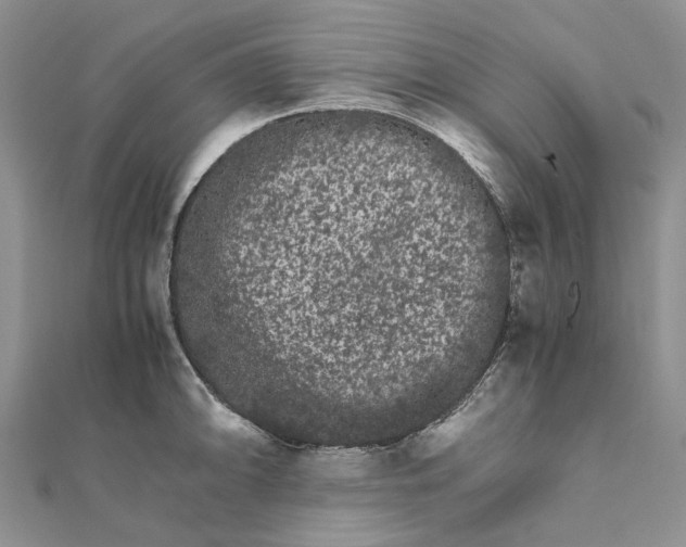 X0000111681094200907311214