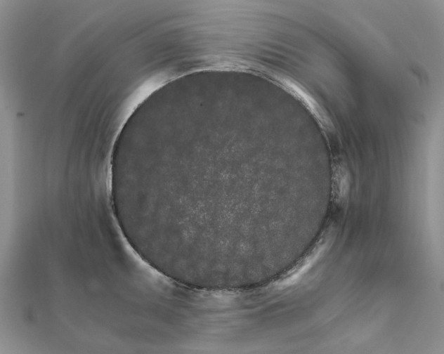 X0000111681095200907311214