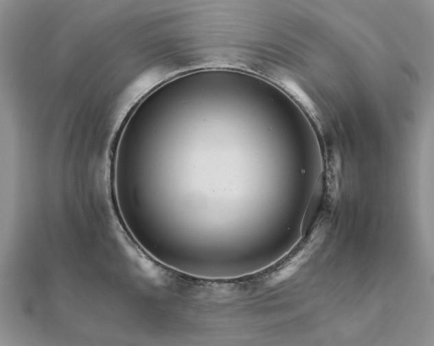 X0000111681096200907311214