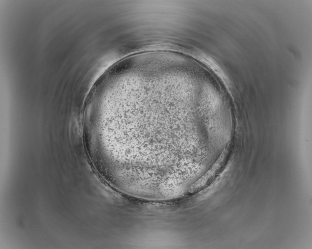 X0000111681097200907311214