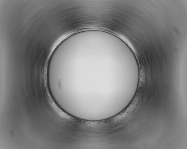 X0000111681098200907311214