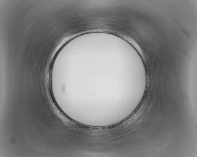 X0000111681099200907311214