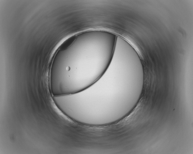 X0000111681100200907311214