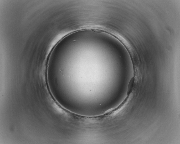 X0000111681102200907311214