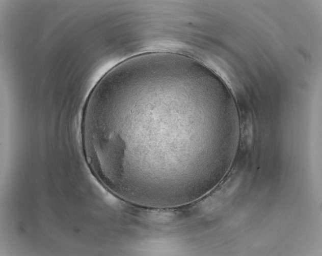 X0000111681103200907311214