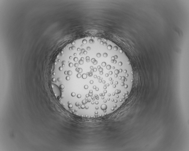 X0000111681105200907311214