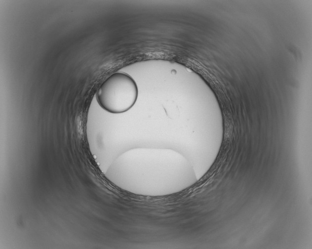 X0000111681106200907311214