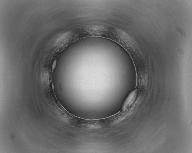 X0000111681108200907311214