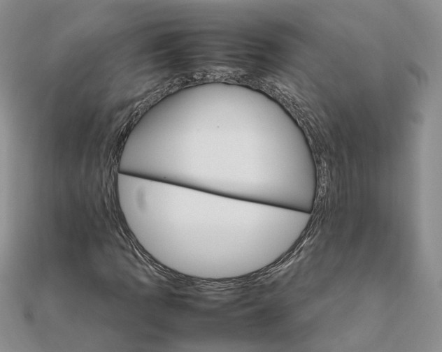 X0000111681109200907311214