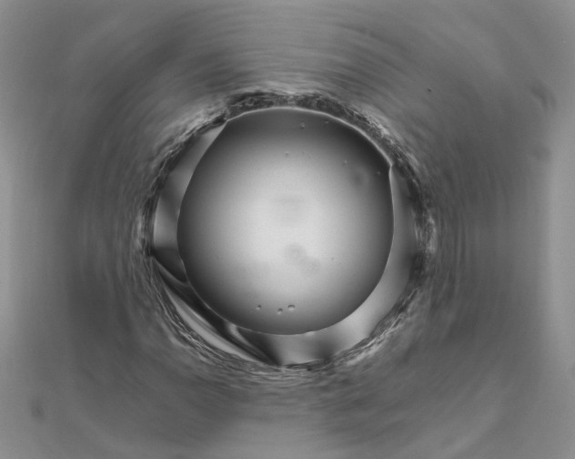 X0000111681110200907311214