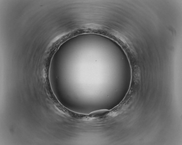 X0000111681112200907311214