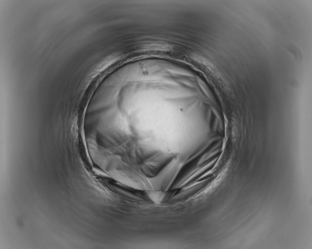 X0000111681113200907311214