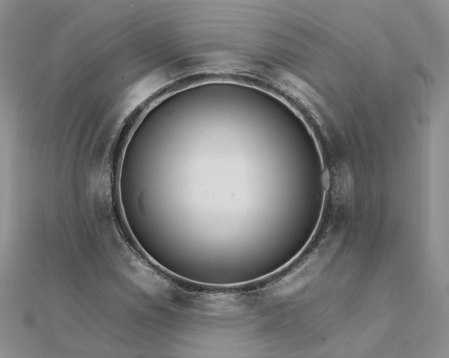 X0000111681114200907311214