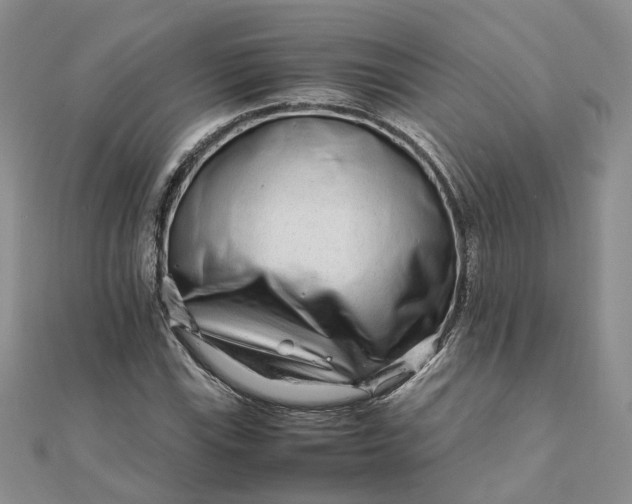 X0000111681115200907311214