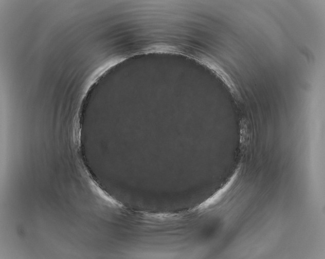 X0000111681117200907311214