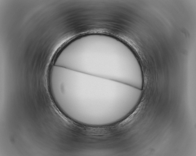 X0000111681119200907311214