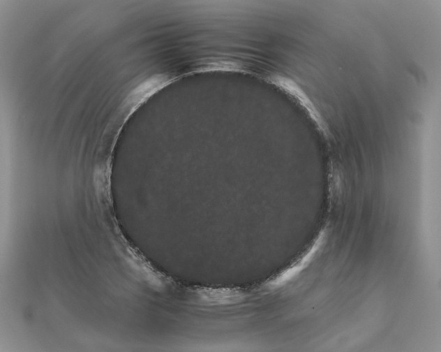 X0000111681121200907311214