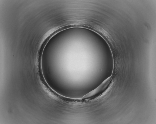 X0000111681122200907311214