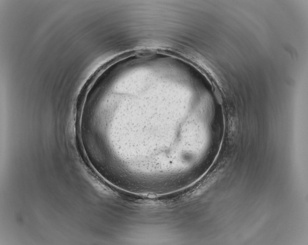 X0000111681124200907311214