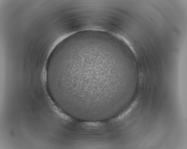 X0000111681125200907311214