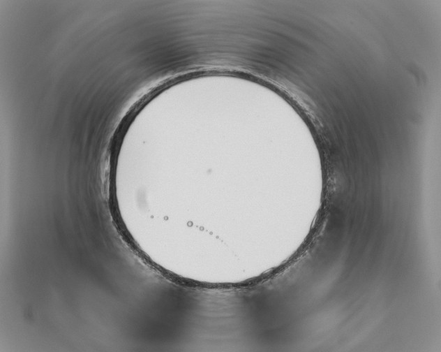 X0000111681126200907311214