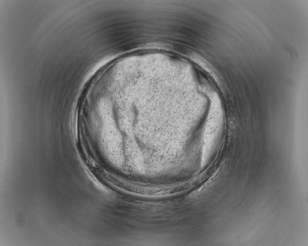 X0000111681127200907311214