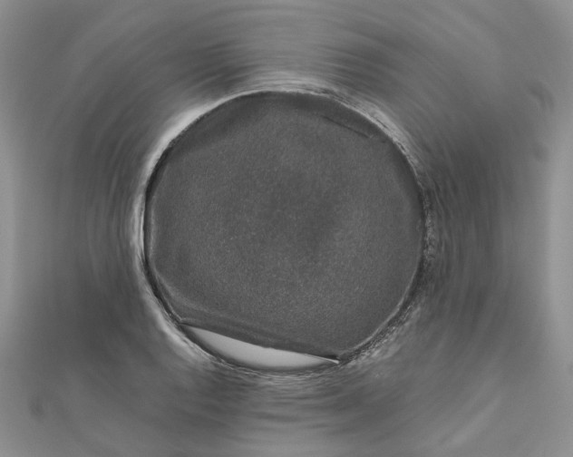 X0000111681128200907311214