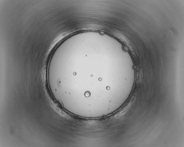 X0000111681130200907311214