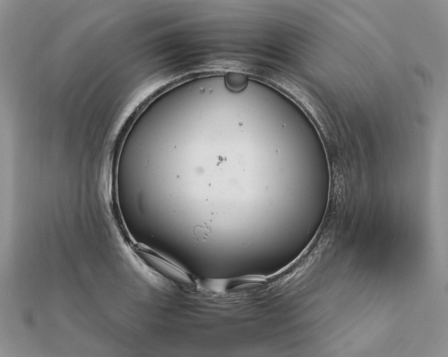 X0000111681131200907311214