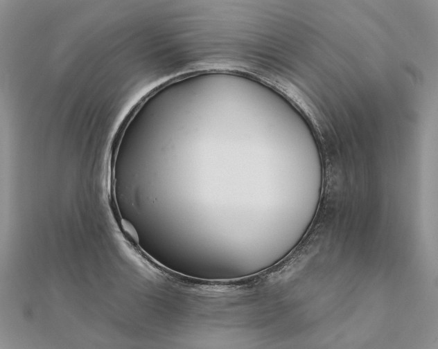 X0000111681132200907311214