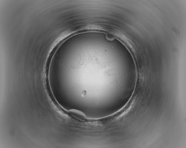 X0000111681133200907311214