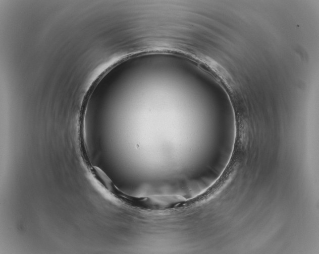 X0000111681134200907311214