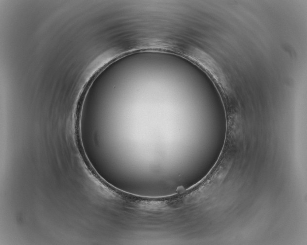 X0000111681135200907311214