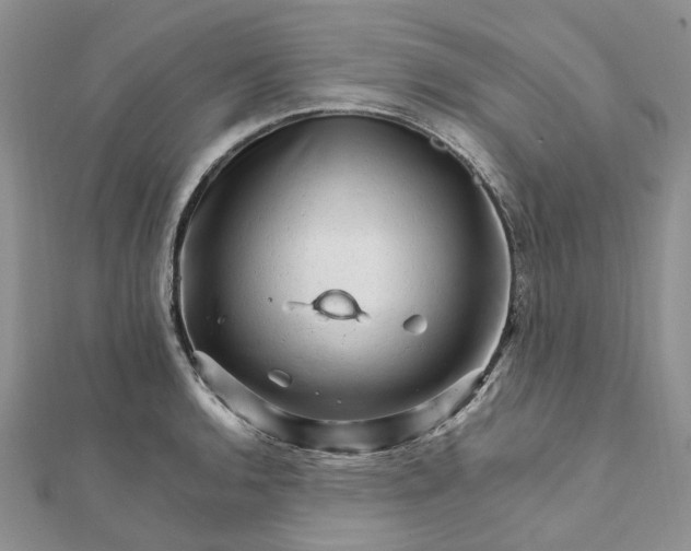 X0000111681136200907311214