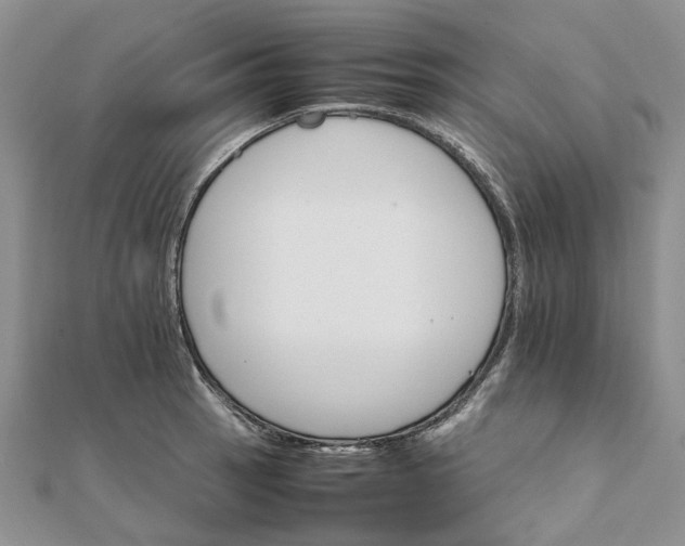 X0000111681137200907311214