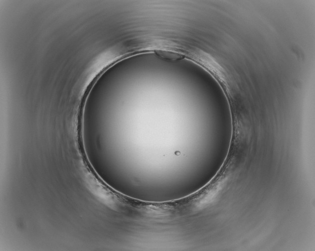 X0000111681138200907311214