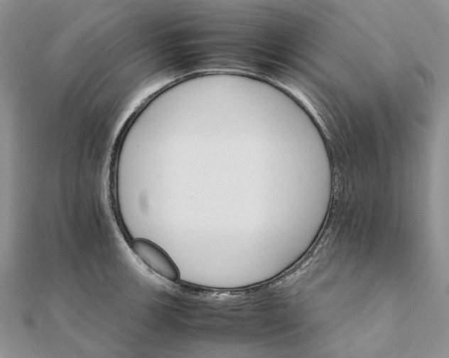 X0000111681139200907311214