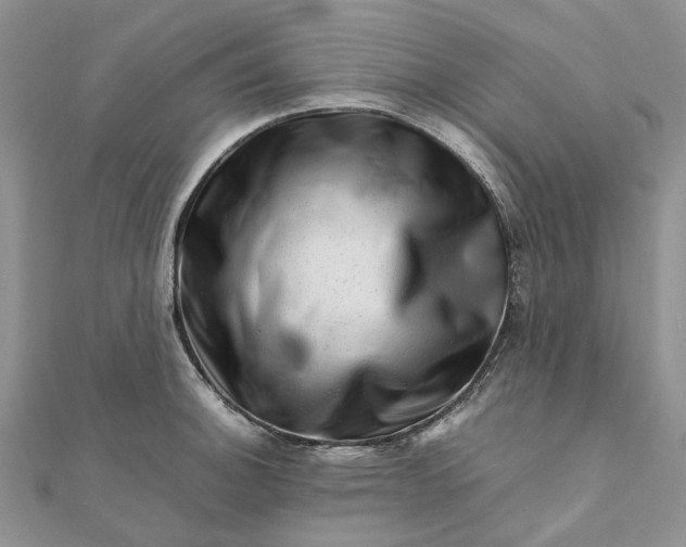 X0000111681140200907311214