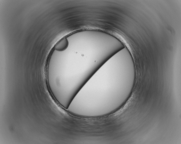 X0000111681141200907311214