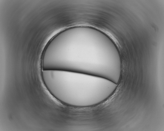 X0000111681142200907311214